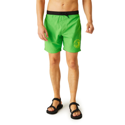 Vīriešu peldšorti Bentham Swim Shorts, 24H, M