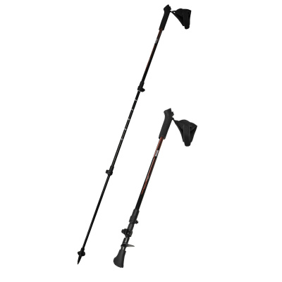 Палки для скандинавской ходьбы Nordic Walking Pole Pair
