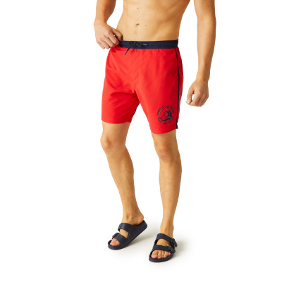 Vīriešu peldšorti Bentham Swim Shorts, V30, S