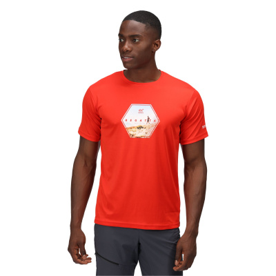 Vīriešu T-krekls Fingal VI T-Shirt, 657, L