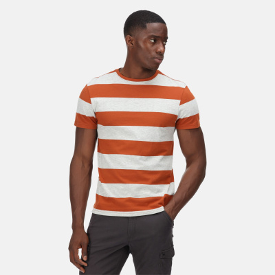 Vīriešu T-krekls Brayden Stripe T-Shirt, YDH, S Vīriešu T-krekls Brayden Stripe T-Shirt, YDH, S
