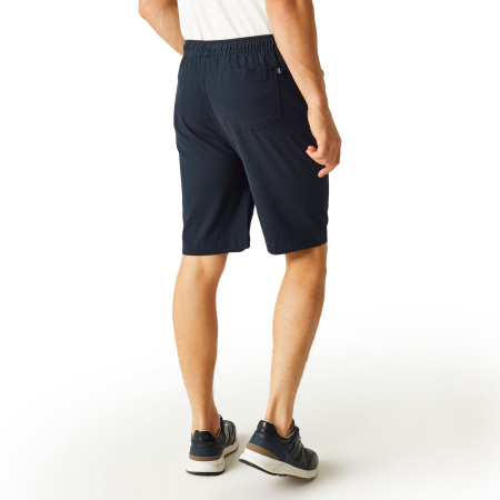 Men`s shorts Aldan Casual Chino Shorts, 540, 32
