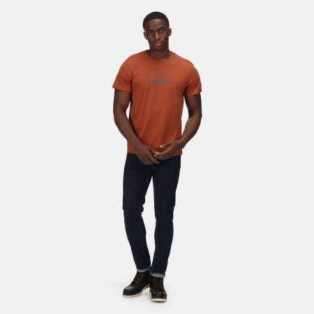 Vīriešu T-krekls Cline VI Cotton T-Shirt, 1BZ, S