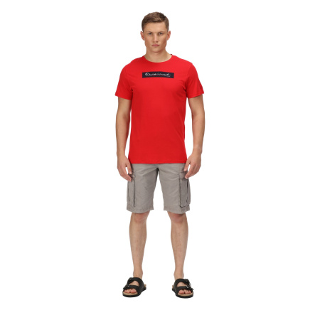 Vīriešu T-krekls Cline VI Cotton T-Shirt, 2EY, XL