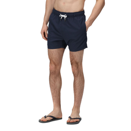 Vīriešu peldšorti Mawson II Swim Shorts, 540, XL