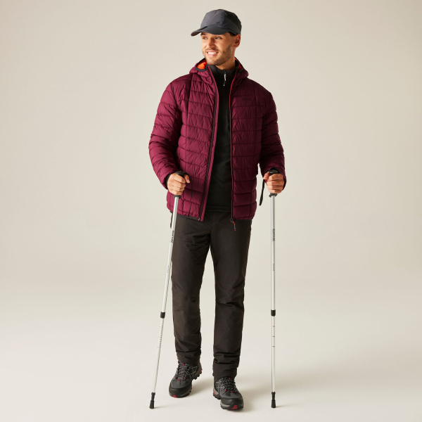 Vīriešu siltināta virsjaka Asper Padded Jacket, ZRS, S