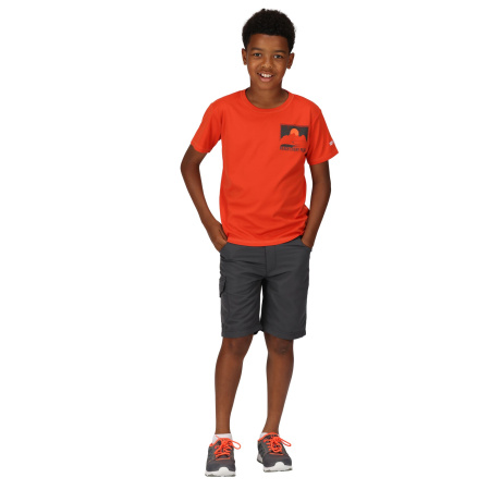 Kid`s Alvarado VII Graphic T-Shirt, 33L, 7-8
