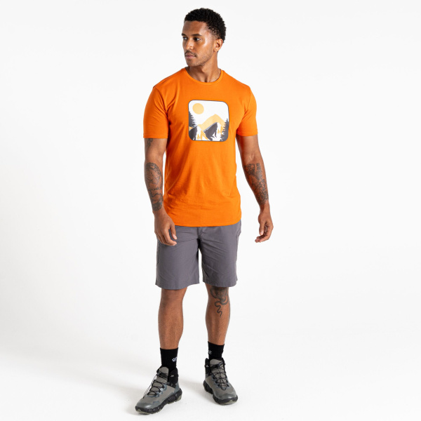 Men`s Dare 2b Movement III T-Shirt, 249, S