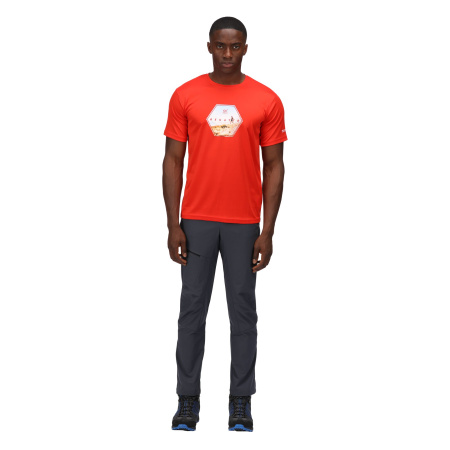 Vīriešu T-krekls Fingal VI T-Shirt, 657, XL